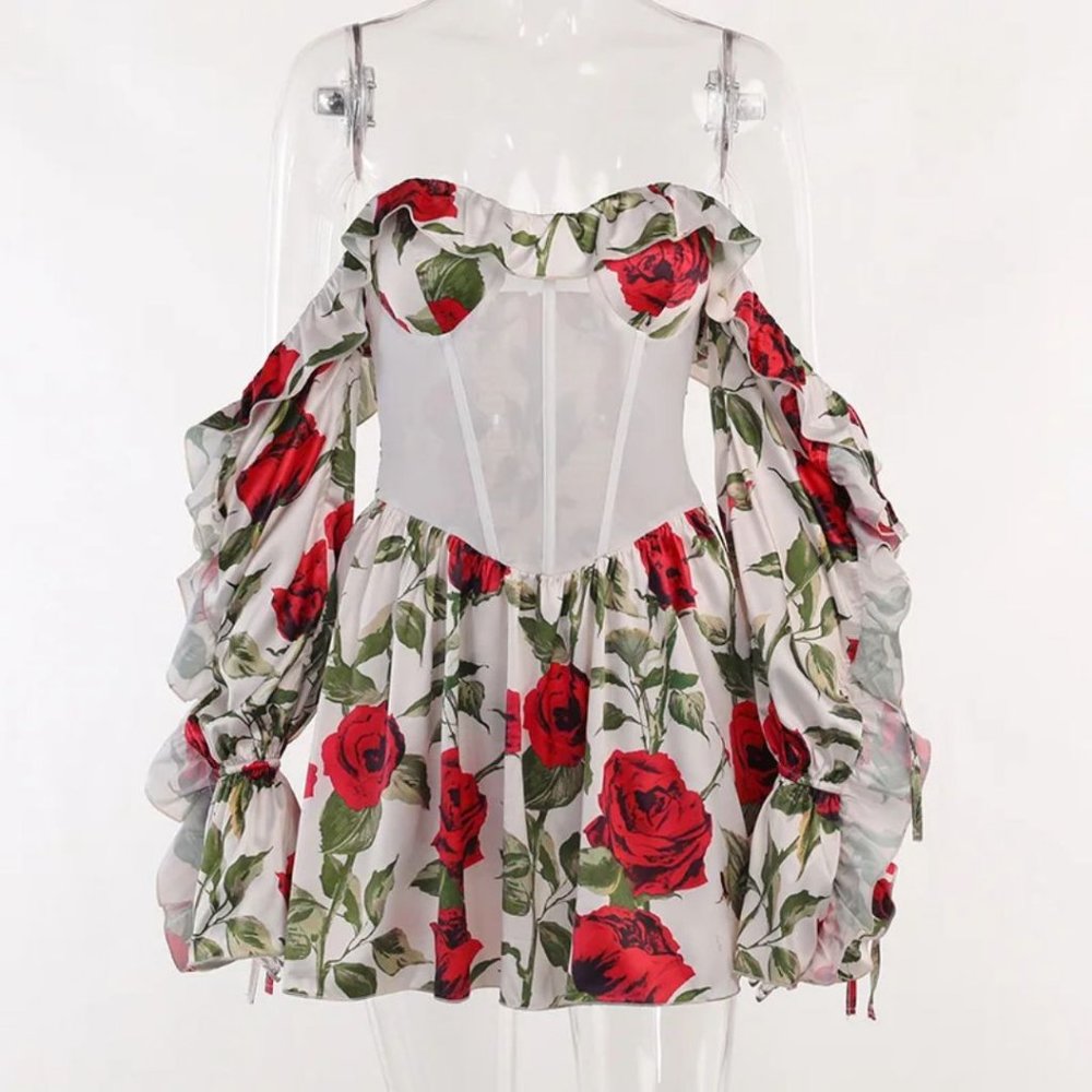 NWT Red Rose Corset Dress by Modern Hippi